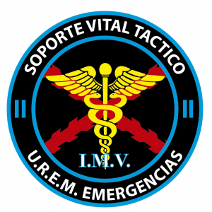 F06SEMI04 – SVTI - NIVEL II (IMV) Semipresencial